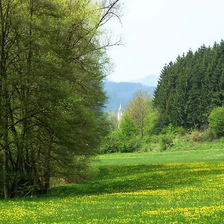 Villa Olsberg Elpe Zimmer foto